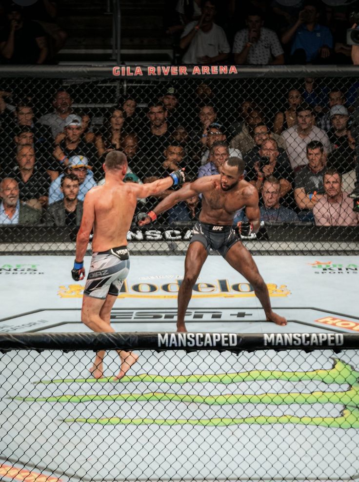 RootsOfCombat's tweet photo. 🥶 https://t.co/QFPVyLEdBM