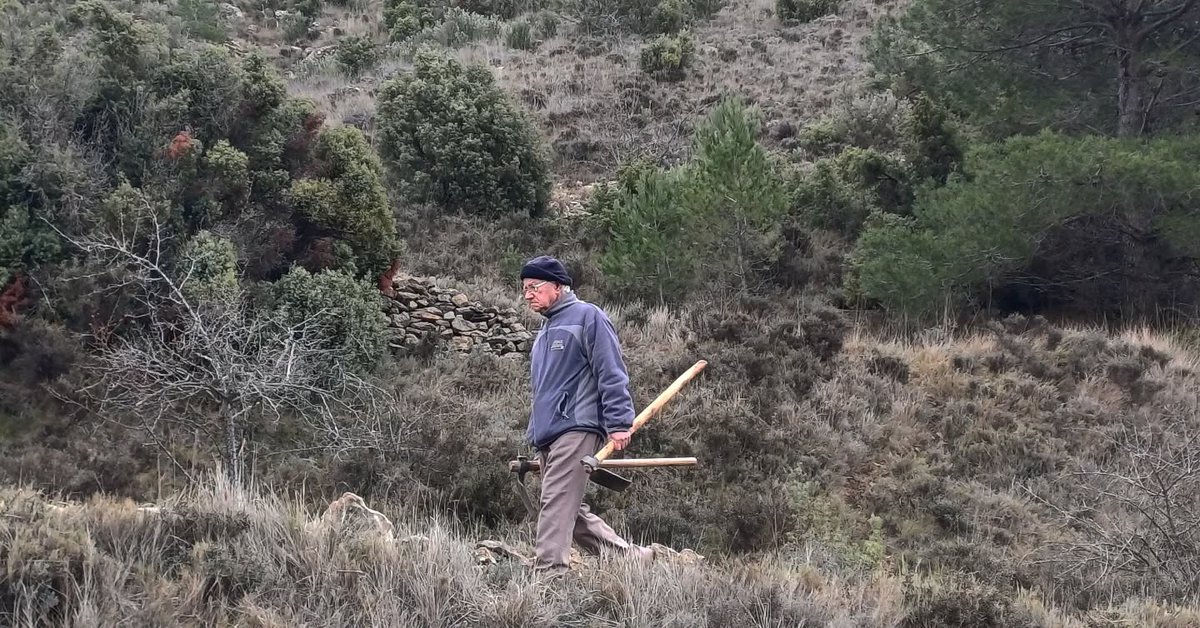 El #AltoTuria celebra el Día del Árbol con una #reforestación en la Muela de Santa Catalina de Aras de los Olmos <a href="/ArasdelosOlmos1/">Aras de los Olmos</a> <a href="/VISITaltoturia/">ALTO TURIA</a> 

masturia.com/2025/02/el-alt…