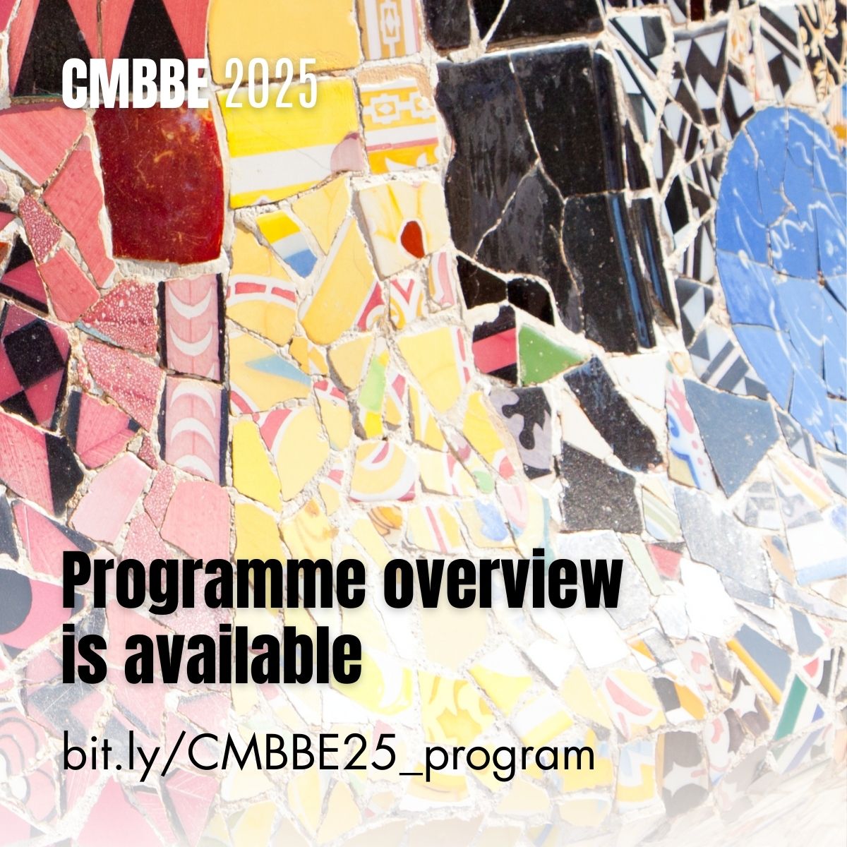 cmbbesymposium's tweet image. Exciting News! π₯ The preliminary programme outline for the CMBBE 2025 Symposium is now available!
π’ Explore the innovative sessions, plenary talks and networking opportunities and don't forget - the abstract submission is now OPEN!
#CMBBE #Biomechanics #CMBBE2025