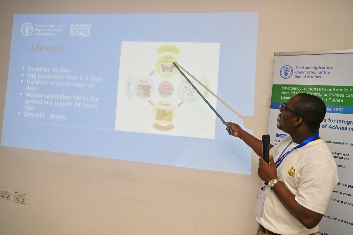 Exciting news from 🇸🇱! FAO Rep. <a href="/sabancie/">Saeed A. Bancie</a> inaugurates a four-day #ToT for Crop Protection &amp; Phytosanitary officers from #MAFS with a focus on enhancing skills in Biological, Ecology, Host Plants &amp;  Integrated Pest Management #IPM practices for the control of Achaea &amp; Catocaloide