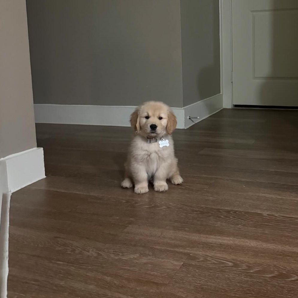 memiiichan's tweet image. ก้อมะต้อมมาฉนจัยหนุหรอก หนุอยุ่คนเดวด้ายแระ