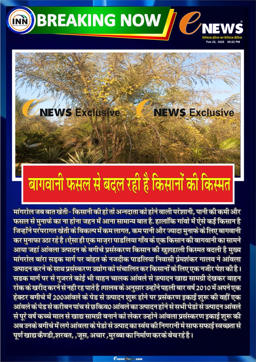 eNewsRajasthan's tweet image. 🌿 बागवानी फसल से बदल रही है किसानों की किस्मत! 🌾
कम पानी और अधिक मुनाफे के लिए किसान पारंपरिक खेती छोड़ बागवानी की ओर बढ़ रहे हैं। आंवला उत्पादन और प्रसंस्करण ने कई किसानों की आर्थिक स्थिति को मजबूत किया।
#AgricultureSuccess #OrganicFarming #AmlaFarming #FarmersGrowth…