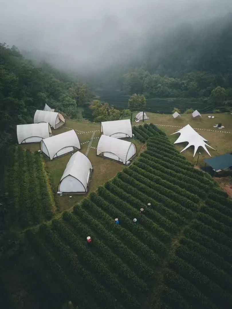 TongluFeel's tweet photo. Gather! Head to Luci Village in #Tonglu for a day of #wildvegetable foraging and #springtea picking. Discover the joys of #nature and unlock the Up Spring Mountain limited edition fun! #TravelinTonglu https://t.co/cpIqwMMbie