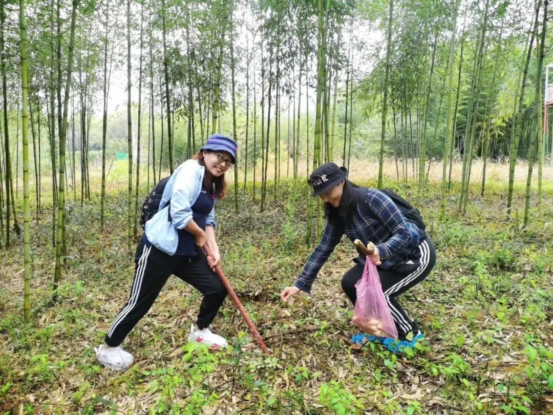 TongluFeel's tweet photo. Gather! Head to Luci Village in #Tonglu for a day of #wildvegetable foraging and #springtea picking. Discover the joys of #nature and unlock the Up Spring Mountain limited edition fun! #TravelinTonglu https://t.co/cpIqwMMbie
