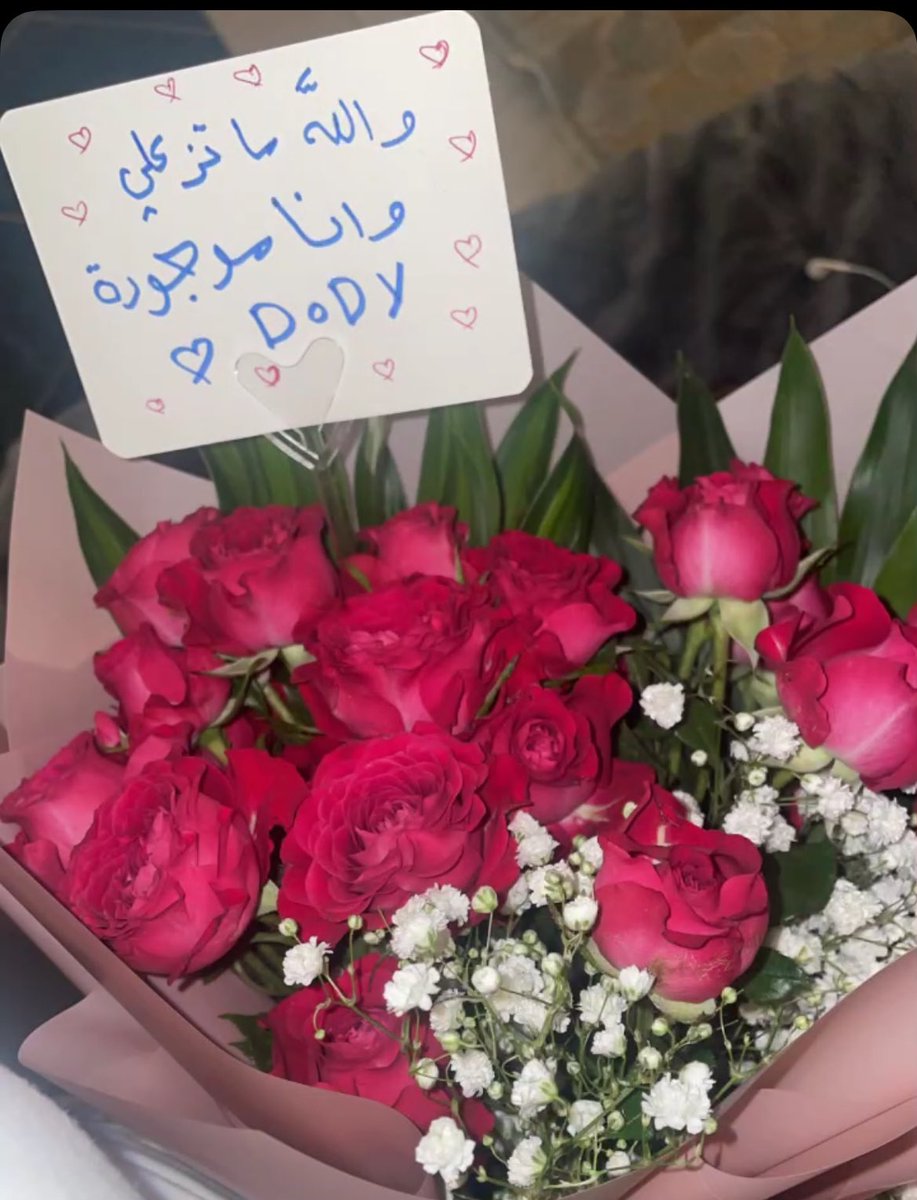 خنساء الحب❤️❤️❤️❤️❤️❤️