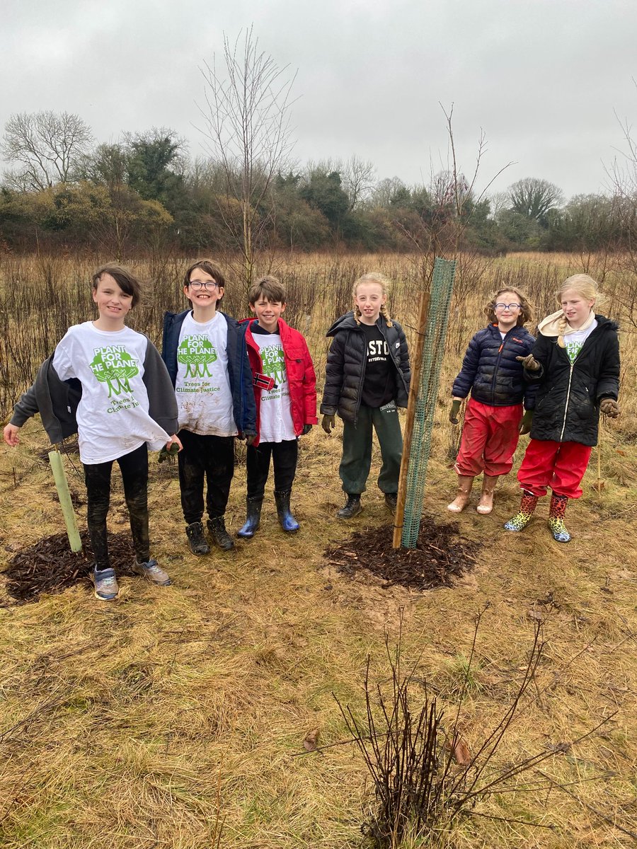 Andover Trees United tweet media