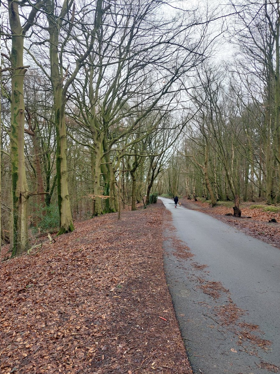 info_macmillan's tweet image. Thursday is our monthly walking cancer support group at Cuerden Valley Park, we will be meeting at 9.45 am at the cafe car park. Come along, join us for a lovely walk and talk with our friendly group, we will look forward to meeting you, let's hope the sun is shinning.