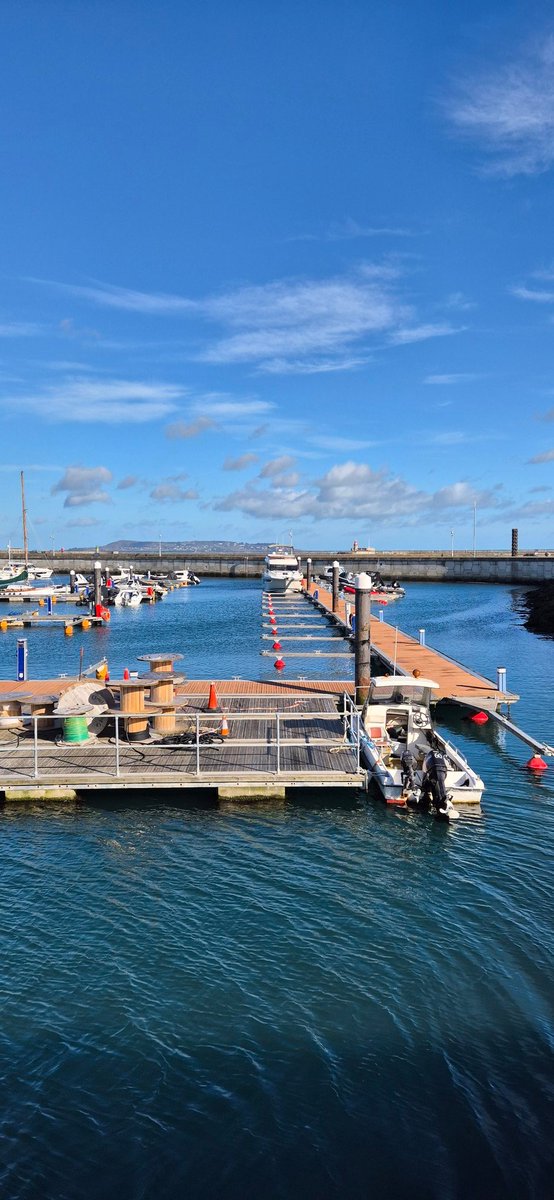 Saby The Swimmer 🇮🇪 (@sabytheswimmer) on Twitter photo Today, i am at <a href="/coastwatch_ire/">Coastwatch</a> today. I learned a lot about oysters and how important they are for the sea biodiversity in keeping our waters clean. It is very important for us sea swimmers. Today, i am at <a href="/coastwatch_ire/">Coastwatch</a> today. I learned a lot about oysters and how important they are for the sea biodiversity in keeping our waters clean. It is very important for us sea swimmers.