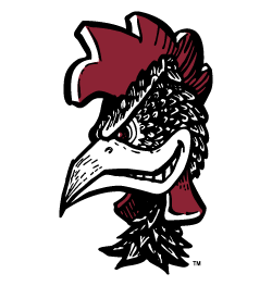FuckEveryNCAA's tweet photo. Fuck South Carolina https://t.co/f7xDEggTYi