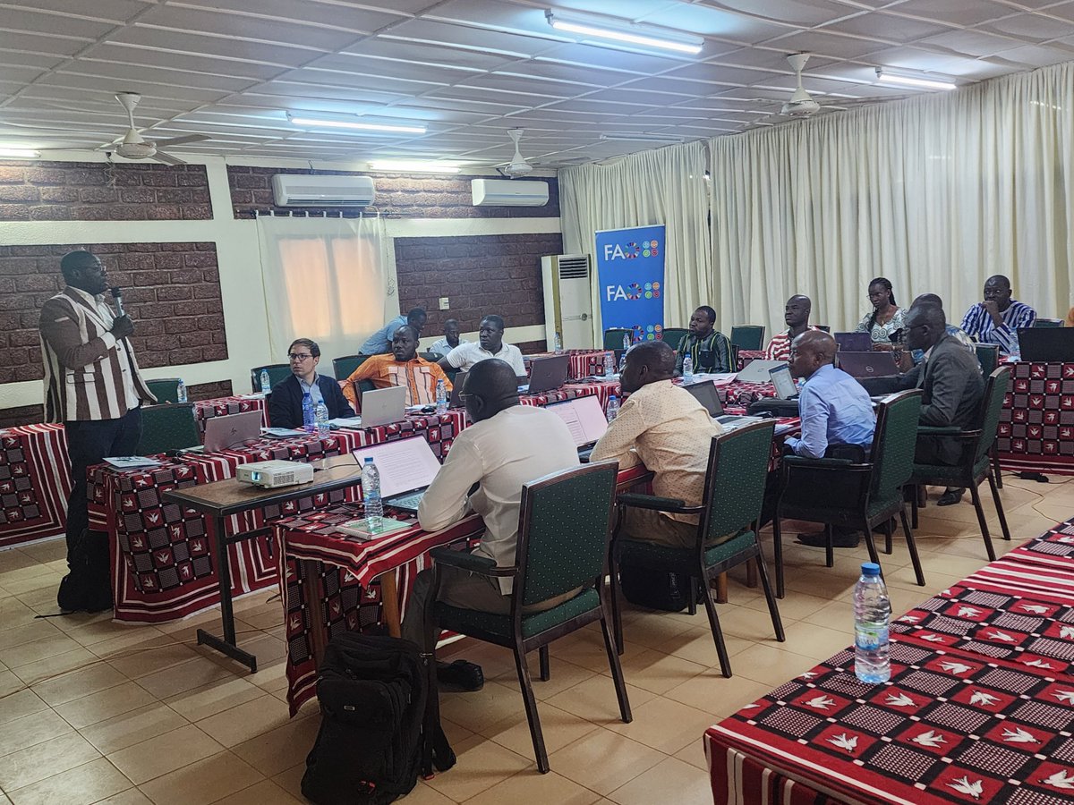 FAOBurkinaFaso's tweet photo. La @FAO renforce l’expertise institutionnelle des ministères en charge de l’agriculture, de l’économie et du commerce en suivi des politiques agricoles et alimentaires grâce au Programme #SAPAA du 25 au 28/2/2025 au 🇧🇫
Appui financier: @gatesfoundation.
#MAFAP
@TiboMeilland https://t.co/Y4gRxnwFeQ