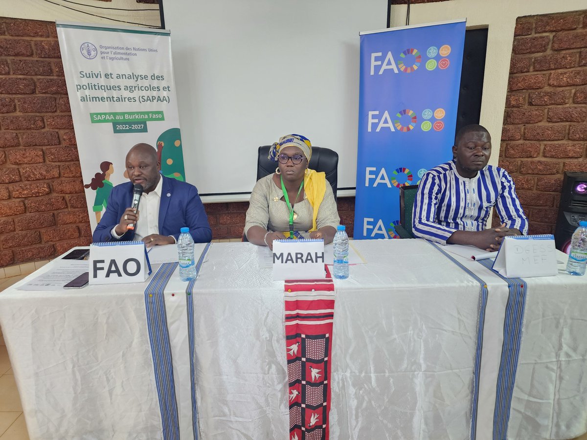 FAOBurkinaFaso's tweet photo. La @FAO renforce l’expertise institutionnelle des ministères en charge de l’agriculture, de l’économie et du commerce en suivi des politiques agricoles et alimentaires grâce au Programme #SAPAA du 25 au 28/2/2025 au 🇧🇫
Appui financier: @gatesfoundation.
#MAFAP
@TiboMeilland https://t.co/Y4gRxnwFeQ