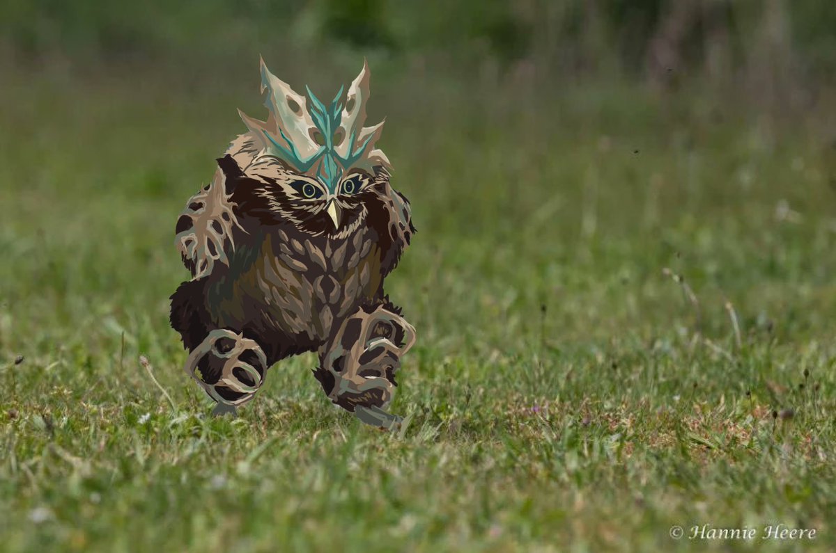 ｴｯﾎｴｯﾎ　カード１枚引かなきゃ