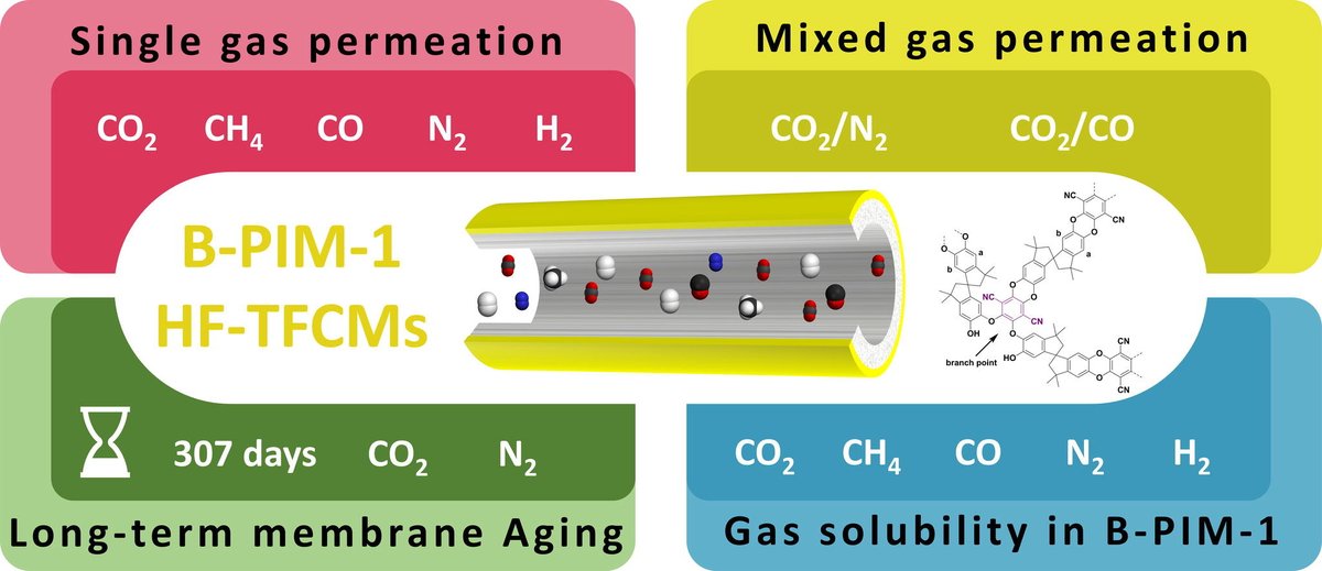 Peter Budd (@buddprof) on Twitter photo Hollow fibre thin-film composite membranes based on PIM-1, from University of Cantabria and <a href="/UoMChemistry/">UoM Chemistry</a> in Sep. Purif. Technol. doi.org/10.1016/j.sepp… Hollow fibre thin-film composite membranes based on PIM-1, from University of Cantabria and <a href="/UoMChemistry/">UoM Chemistry</a> in Sep. Purif. Technol. doi.org/10.1016/j.sepp…