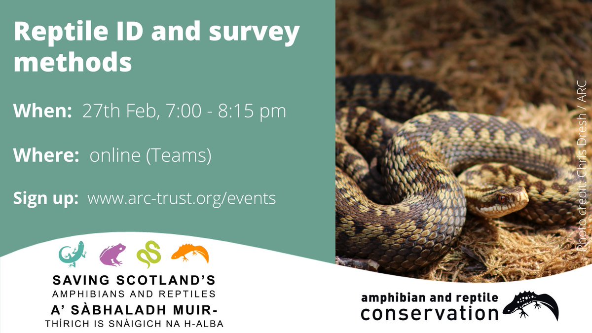 Last chance to sign up for our ONLINE 'reptile ID and survey methods' session on 27th February (evening). Find out more and book 👉 arc-trust.org/events

#OnlineTraining #ReptileConservation #WildlifeSurvey #ReptileID #ARCsurveys #SSAAR