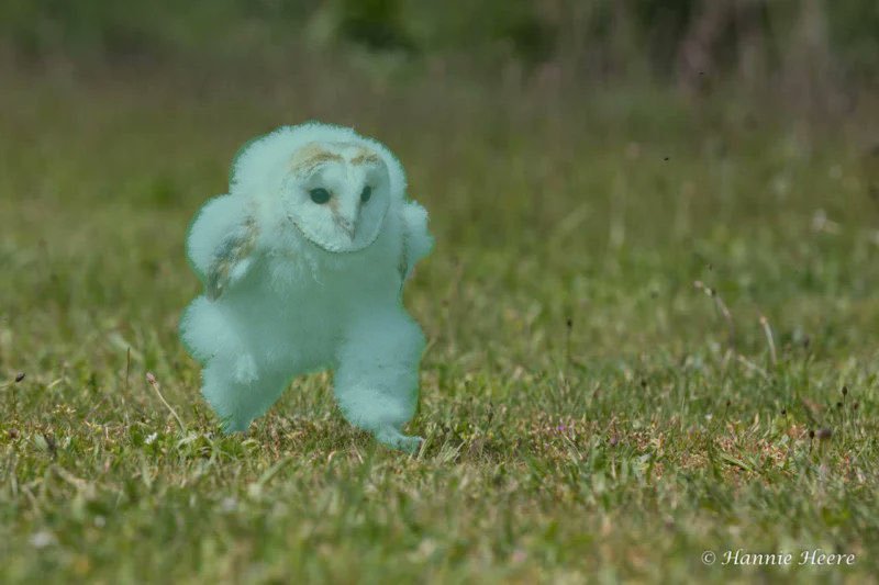 💙不沈艦🌾 on X 💙不沈艦🌾 on X