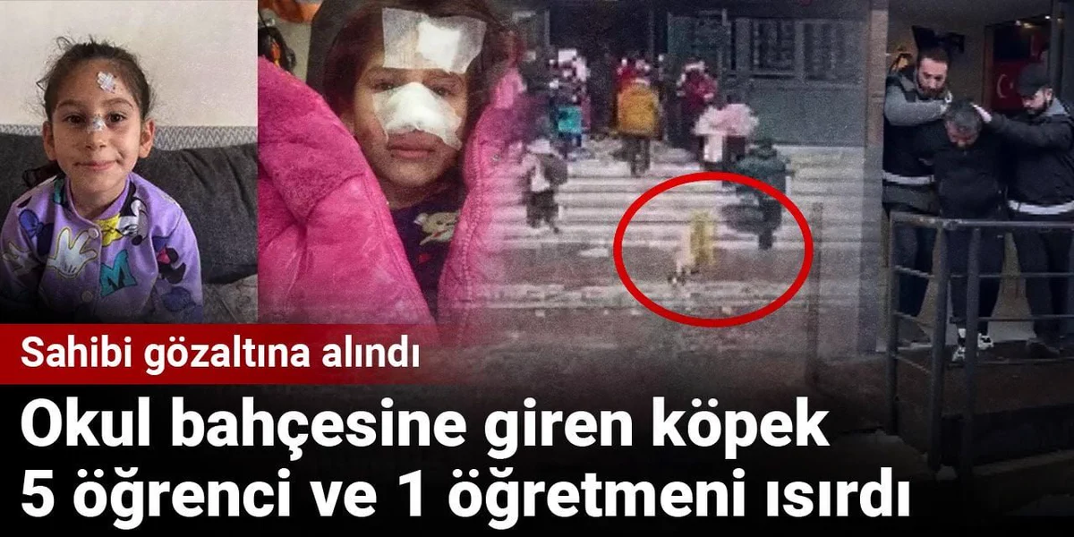 Okul bahçesine giren köpek, 5 öğrenci ve 1 öğretmeni ısırdı