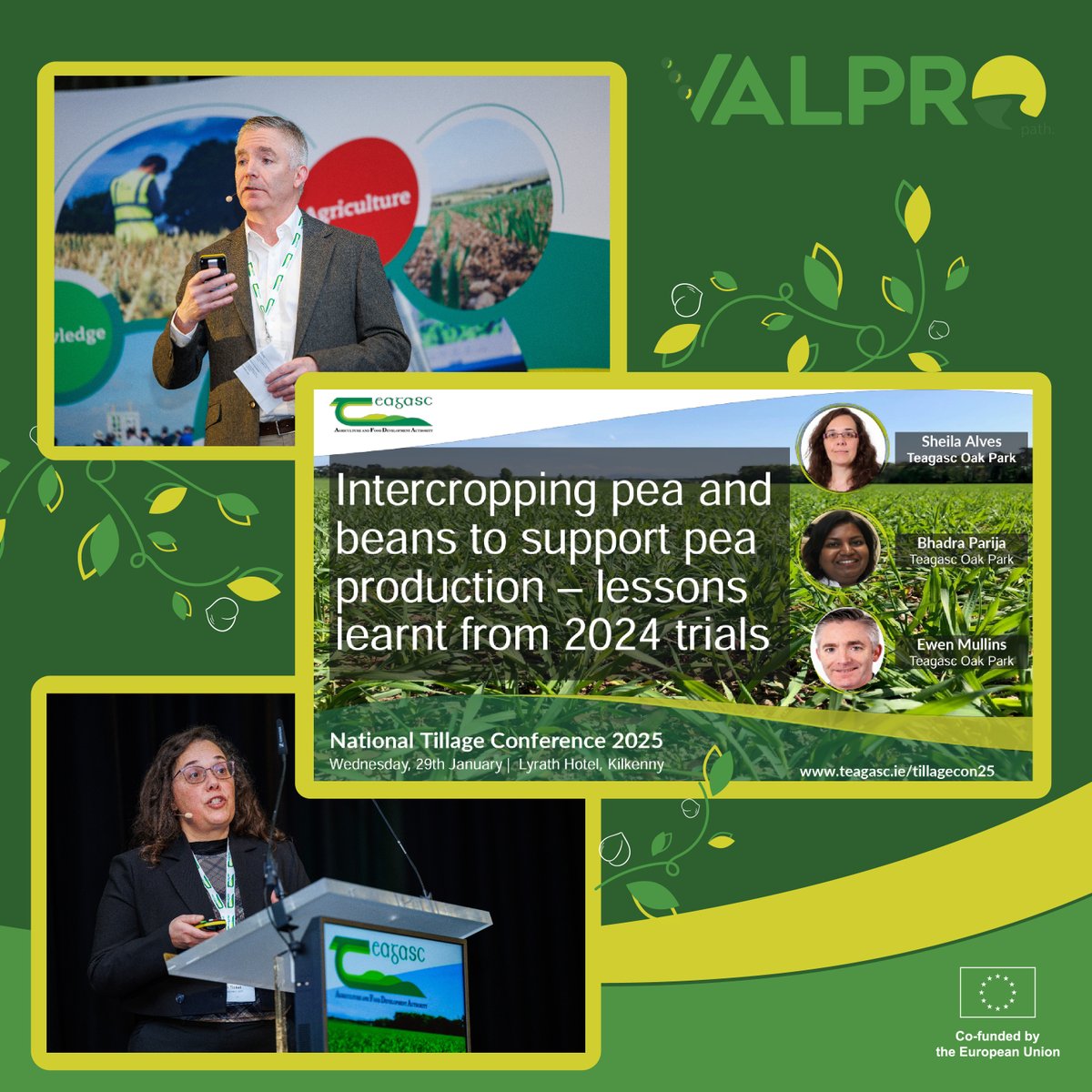 National Tillage Conference was once again an opportunity for our partners from <a href="/teagasc/">Teagasc</a>  to present our project! 

Thank you to our project coordinator, Ewen Mullins, and contributors Sheila Alves and Bhadra Parija, for their presentation! valpropath.eu

#HorizonEurope