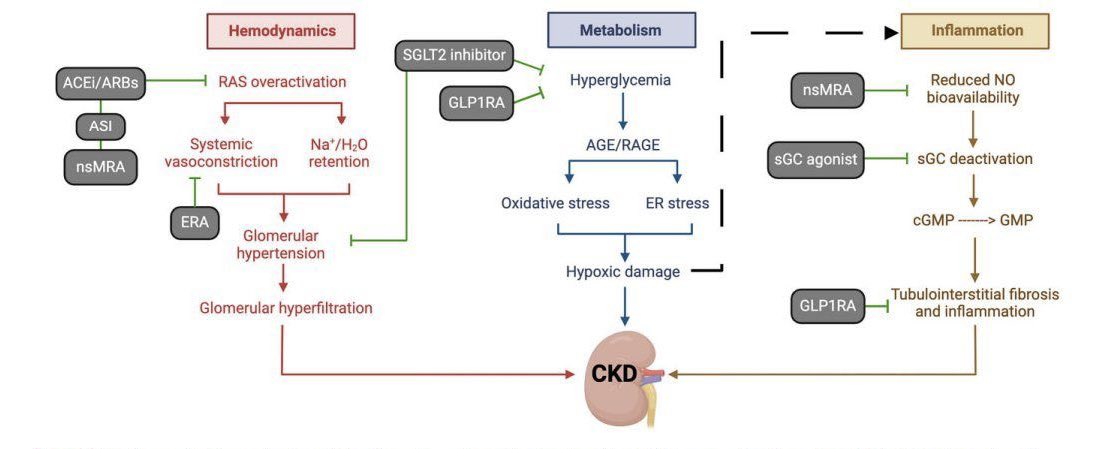 Joel CM. MD tweet media