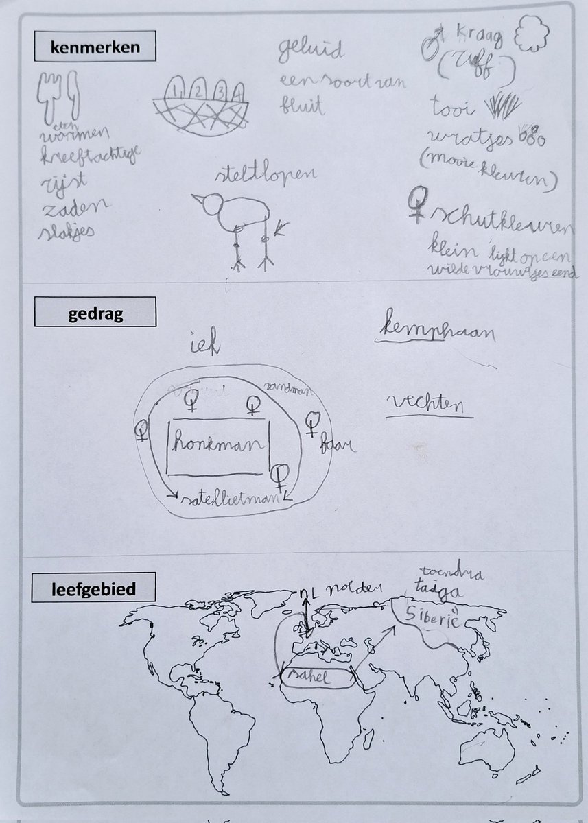 Marcel Schmeier tweet media
