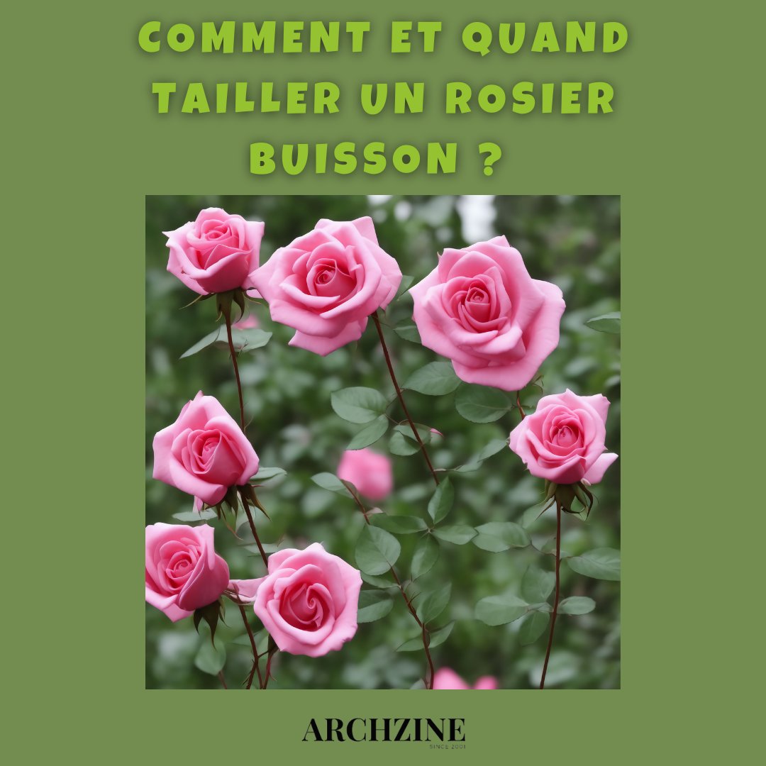 archzinefr's tweet photo. Tailler un rosier buisson : mission impossible ? Pas du tout ! Avec les bons gestes et au bon moment, offrez-lui une floraison éclatante. 🌿✨
👉 Découvrez quand et comment tailler pour un jardin resplendissant ! 
#Jardinage #Rosiers #TailleDesRosiers #ConseilsJardin https://t.co/1DSZbFZGdN