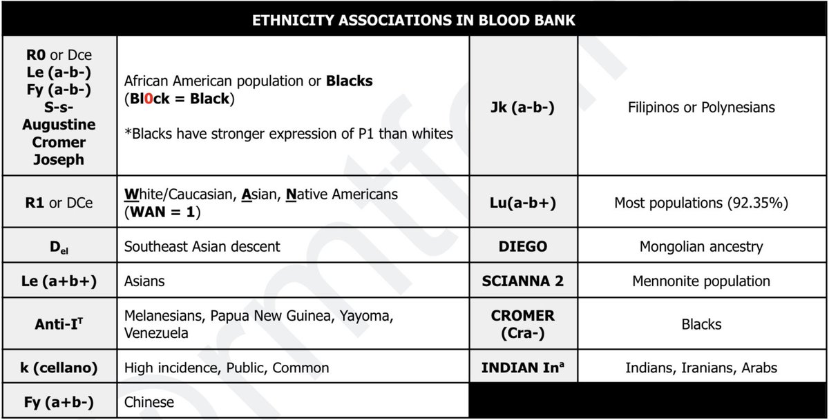 rmtfelice's tweet image. 