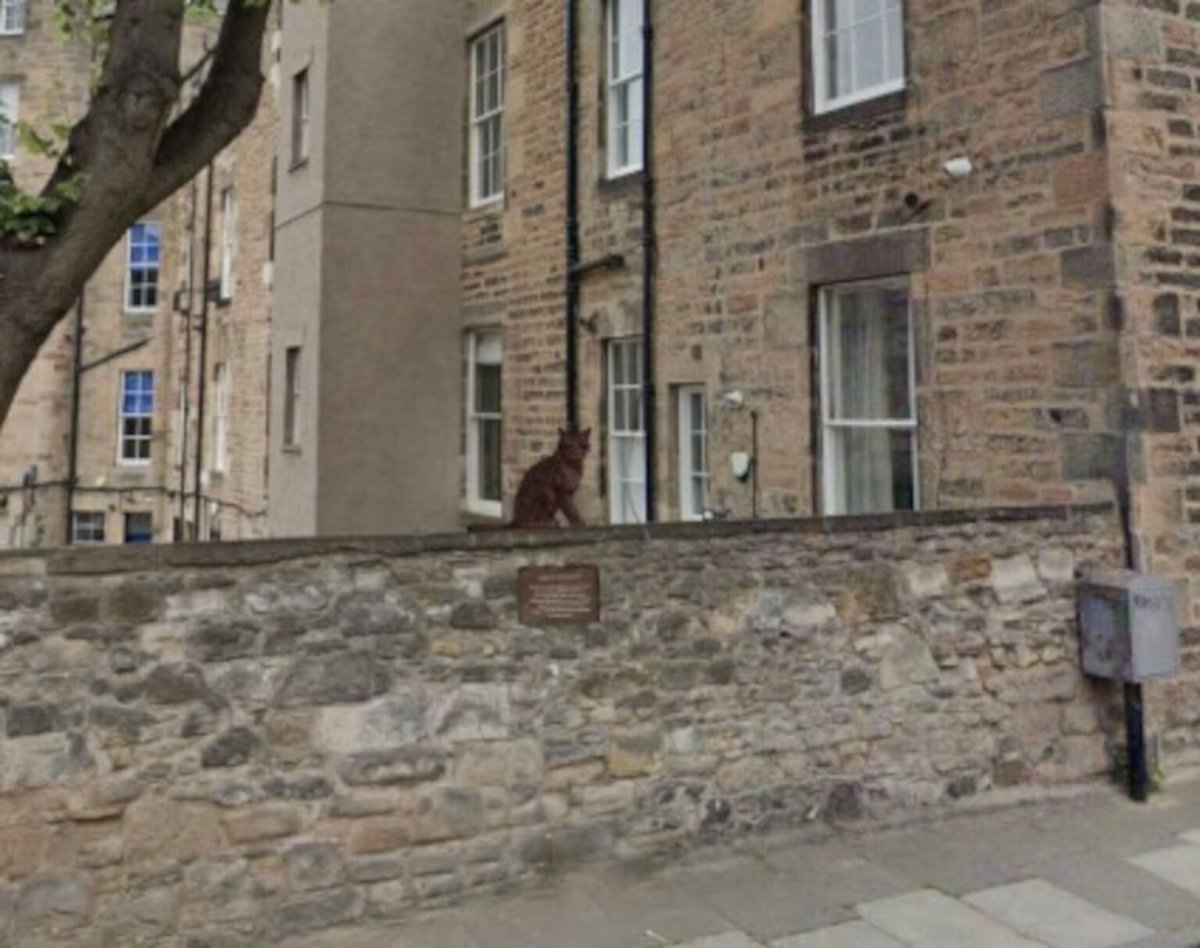 Statue proposed to memorialise local legend “Hugo the West End cat”  deadlinenews.co.uk/2025/02/24/sta… via <a href="/deadlinenews/">Deadline News</a>