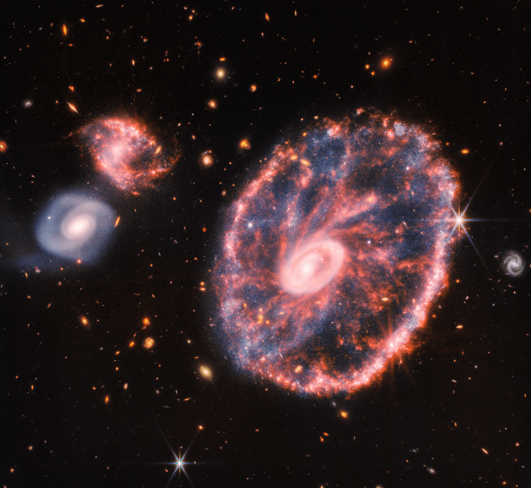 Latest image from the James Webb Space Telescope: the Cartwheel Galaxy
NASA