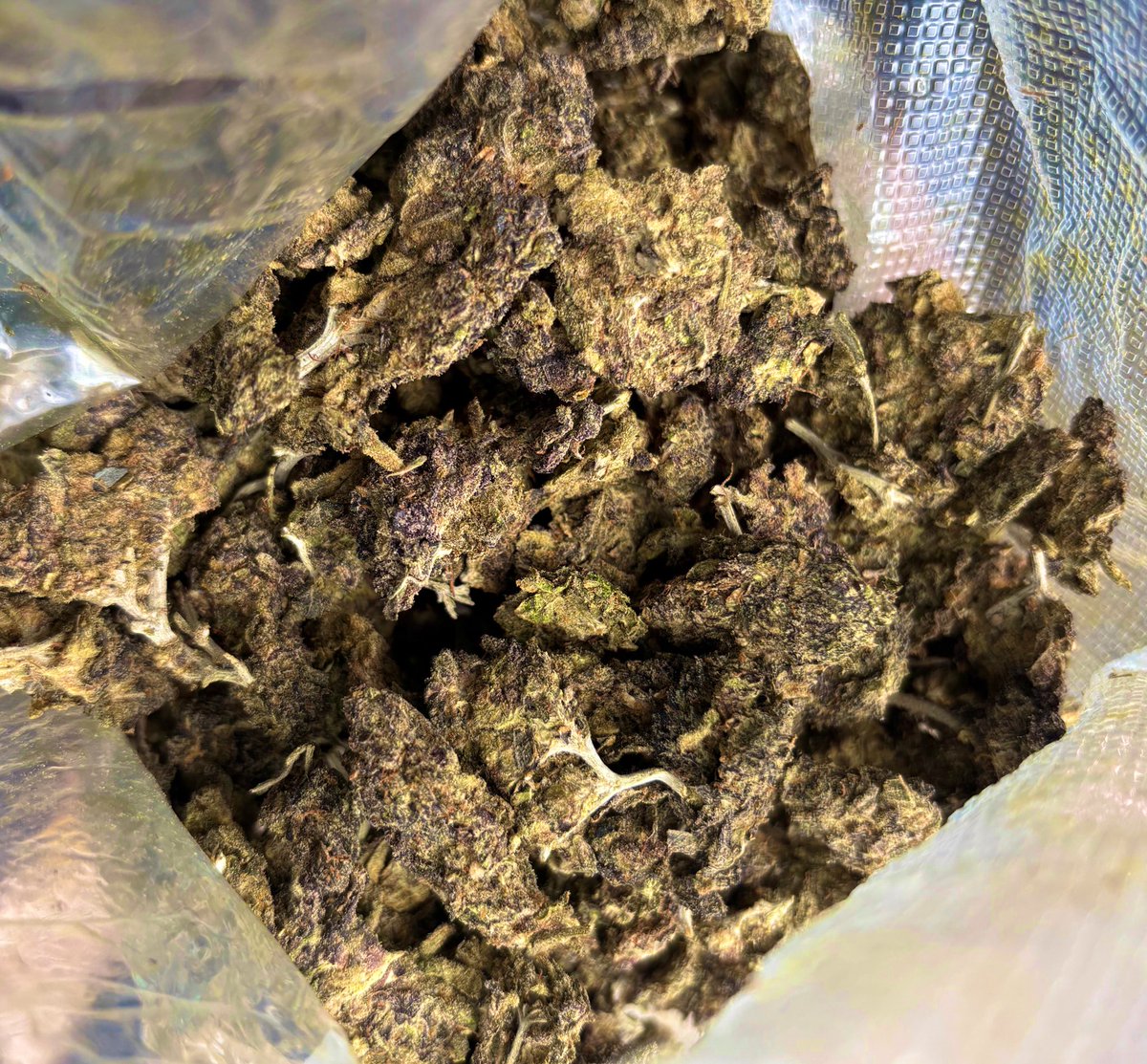 🦅 (@jevaldoo) on Twitter photo 