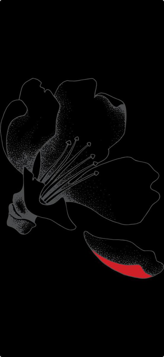 #XocalıSoyqırımı #KhojalyGenocide #JusticeForKhojaly #XocalıyaƏdalət