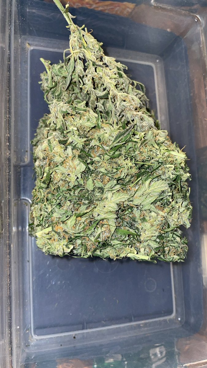 ShawnieSwisher's tweet image. #SMOKEDATSHIT PURPLE COOKIES