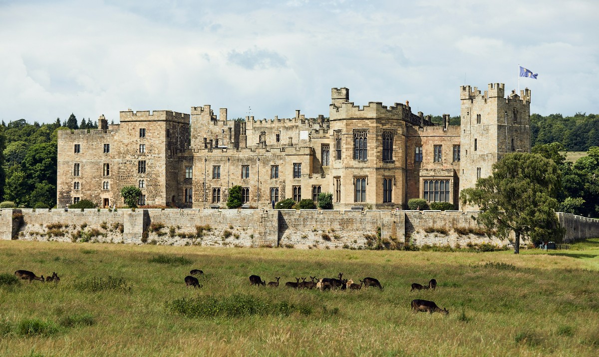 Raby Castle opening Saturday 1st March 2025 🏰
Now open seven days a week ✨

🗝 As another winter season comes to an end, we are delighted to be welcoming visitors this Saturday, as we reopen for the 2025 season.

➡ Book now | bit.ly/3Oa9rfH

📸 Jake Eastham