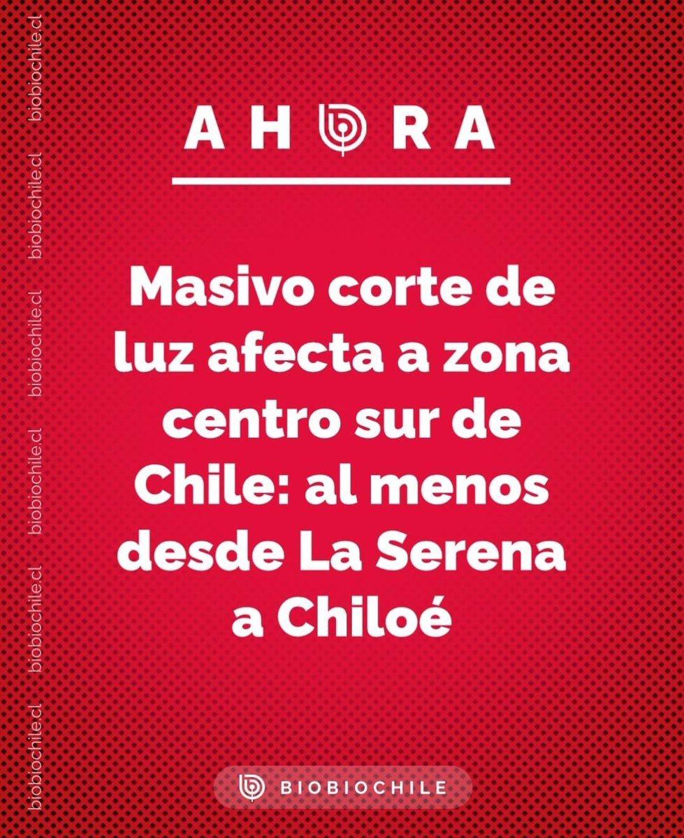 M.Paula tweet media