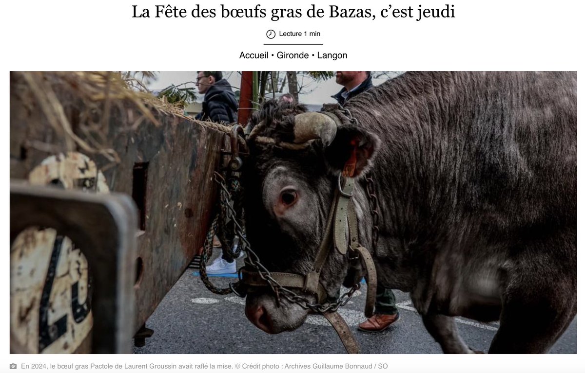 LanceletteL's tweet photo. Y en a vraiment à qui cette image donne l'impression de fête ?? https://t.co/cxduoOvJbb