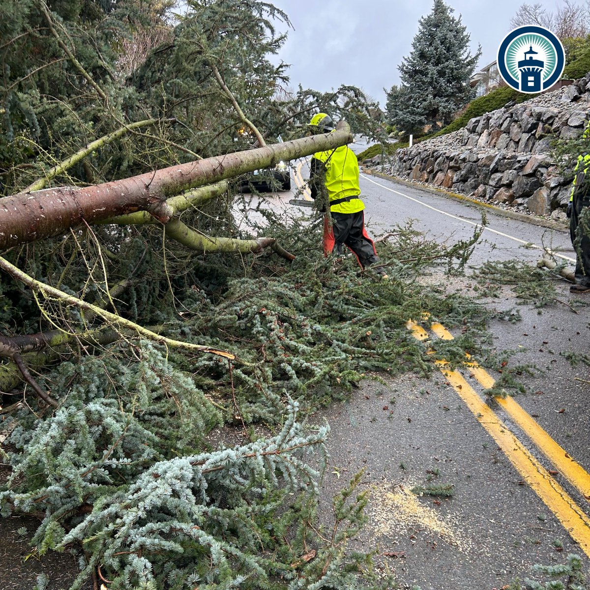 Due to high winds overnight, our Public Works crew was called out at 3 AM to remove fallen trees blocking the roads. They're working hard and will continue throughout the morning to ensure roads are clear and safe for everyone. Thank you for your patience! #iampublicworks