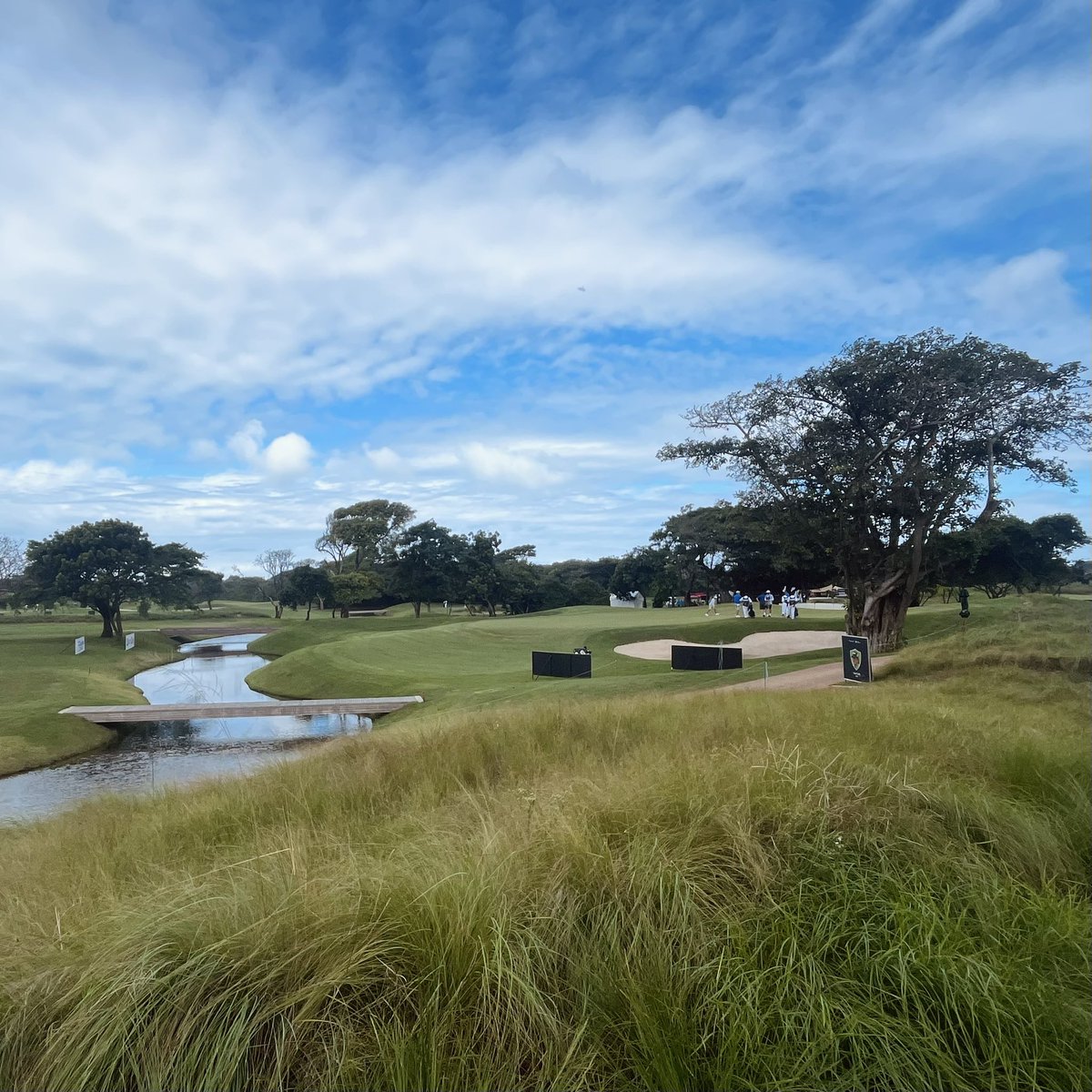 thegoat_track's tweet image. The 14th hole at Durban Country Club showing off its new looks.

#InvestecSAOpen