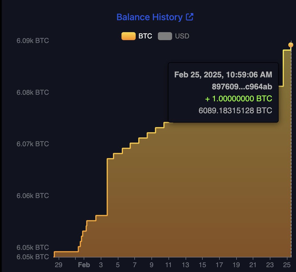 JUST IN: 🇸🇻 El Salvador bought the bitcoin dip today 👏