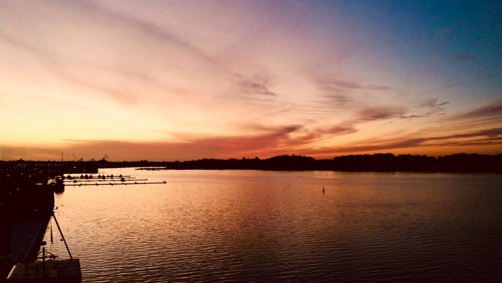 Dr. Ulf Th Zierau tweet media