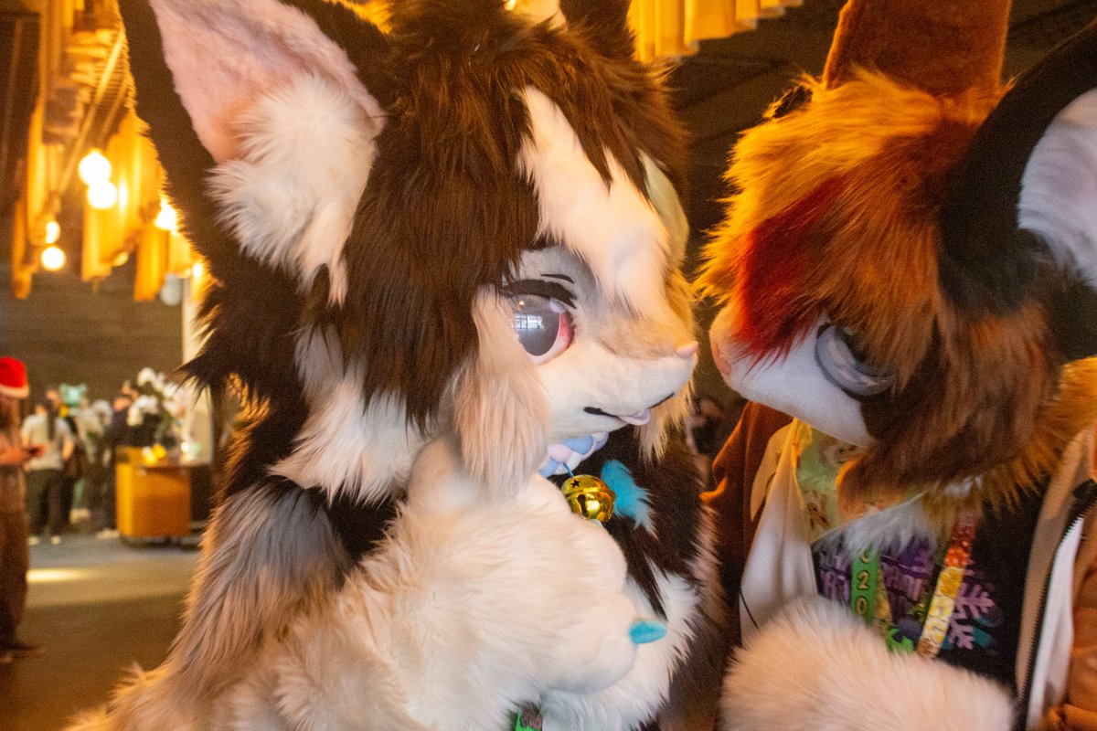 Mika panpan Nästa NFC (@ceong_panpan) on Twitter photo Fluffiest partners in crime 😼✨ Planning something? Nah, just looking adorable as always~ 💖🐾
💙 <a href="/PatchxSaigai/">Patch the Cat</a>
💜 <a href="/Vanela_01/">Vanela</a>
📸 <a href="/Ceong_PanPan/">Mika panpan Nästa Kina och States-Unions</a> Fluffiest partners in crime 😼✨ Planning something? Nah, just looking adorable as always~ 💖🐾
💙 <a href="/PatchxSaigai/">Patch the Cat</a>
💜 <a href="/Vanela_01/">Vanela</a>
📸 <a href="/Ceong_PanPan/">Mika panpan Nästa Kina och States-Unions</a>