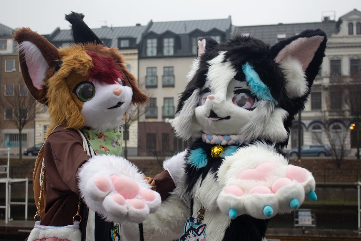 Mika panpan Nästa NFC (@ceong_panpan) on Twitter photo Agent 7 mission briefing: Operation Fluff & Cuteness is in full effect! 🕵️♂️🐾 Are you ready to join the squad? 😼✨
💙 <a href="/PatchxSaigai/">Patch the Cat</a>
💜 <a href="/Vanela_01/">Vanela</a>
📷<a href="/Ceong_PanPan/">Mika panpan Nästa Kina och States-Unions</a> Agent 7 mission briefing: Operation Fluff & Cuteness is in full effect! 🕵️♂️🐾 Are you ready to join the squad? 😼✨
💙 <a href="/PatchxSaigai/">Patch the Cat</a>
💜 <a href="/Vanela_01/">Vanela</a>
📷<a href="/Ceong_PanPan/">Mika panpan Nästa Kina och States-Unions</a>