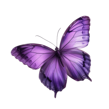 HeiressOfStyxia's tweet image. 𝛴𝜈𝜀𝑟𝜑 𝜔𝜄𝜏𝘩𝜀𝑟𝜄𝜋𝑔 𝑓𝑙𝜎𝜔𝜀𝑟 𝜏𝜀𝑙𝑙𝑠 𝛼 𝑠𝜏𝜎𝑟𝜑... 𝛼𝜋𝜕 𝐼 𝑙𝜄𝑠𝜏𝜀𝜋 𝜏𝜎 𝜀𝛼𝑐𝘩 𝜎𝜋𝜀 𝜎𝑓 𝜏𝘩𝜀𝑚.