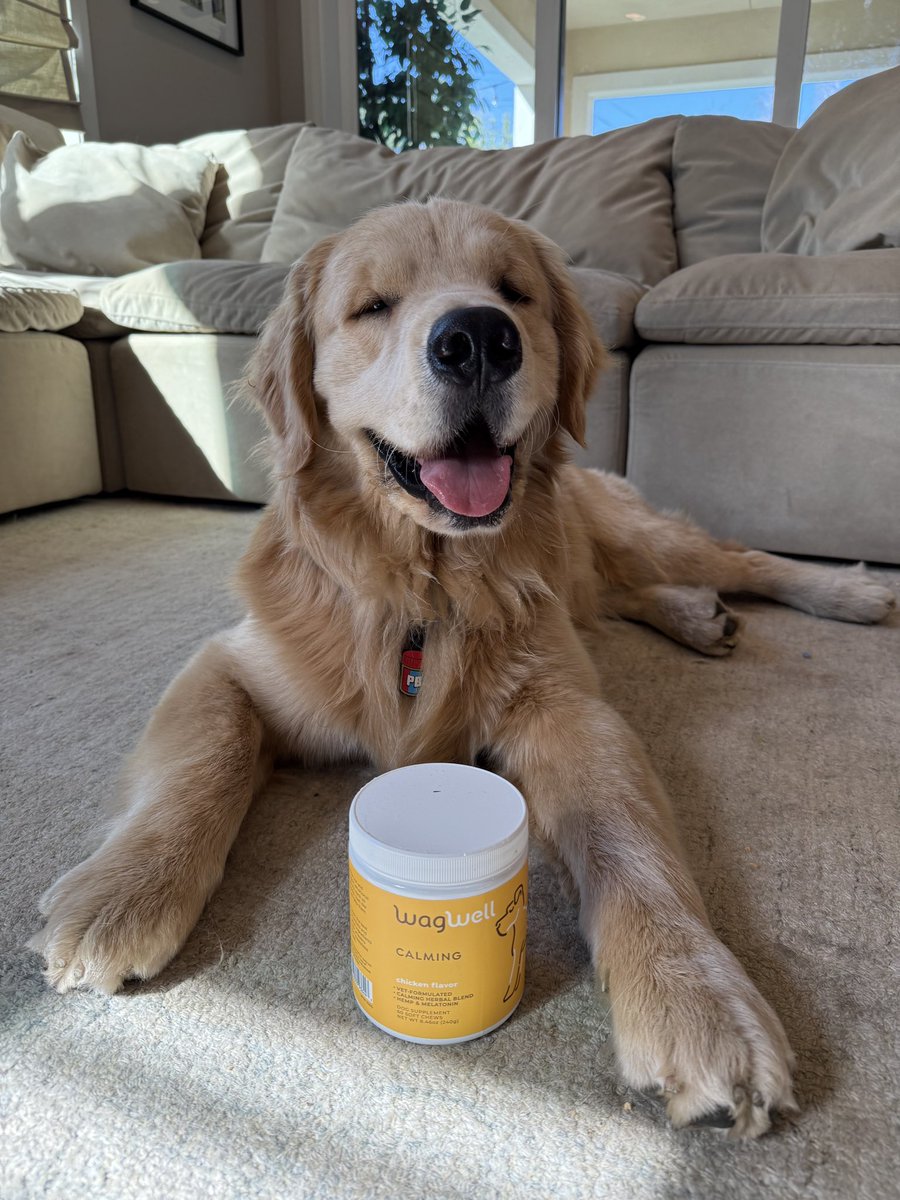 dog_rates's tweet photo. Use code 'WeRate20' to get 20% off WagWell products below 💙
https://t.co/6z53B1HQCU https://t.co/GwqzvFSKTz
