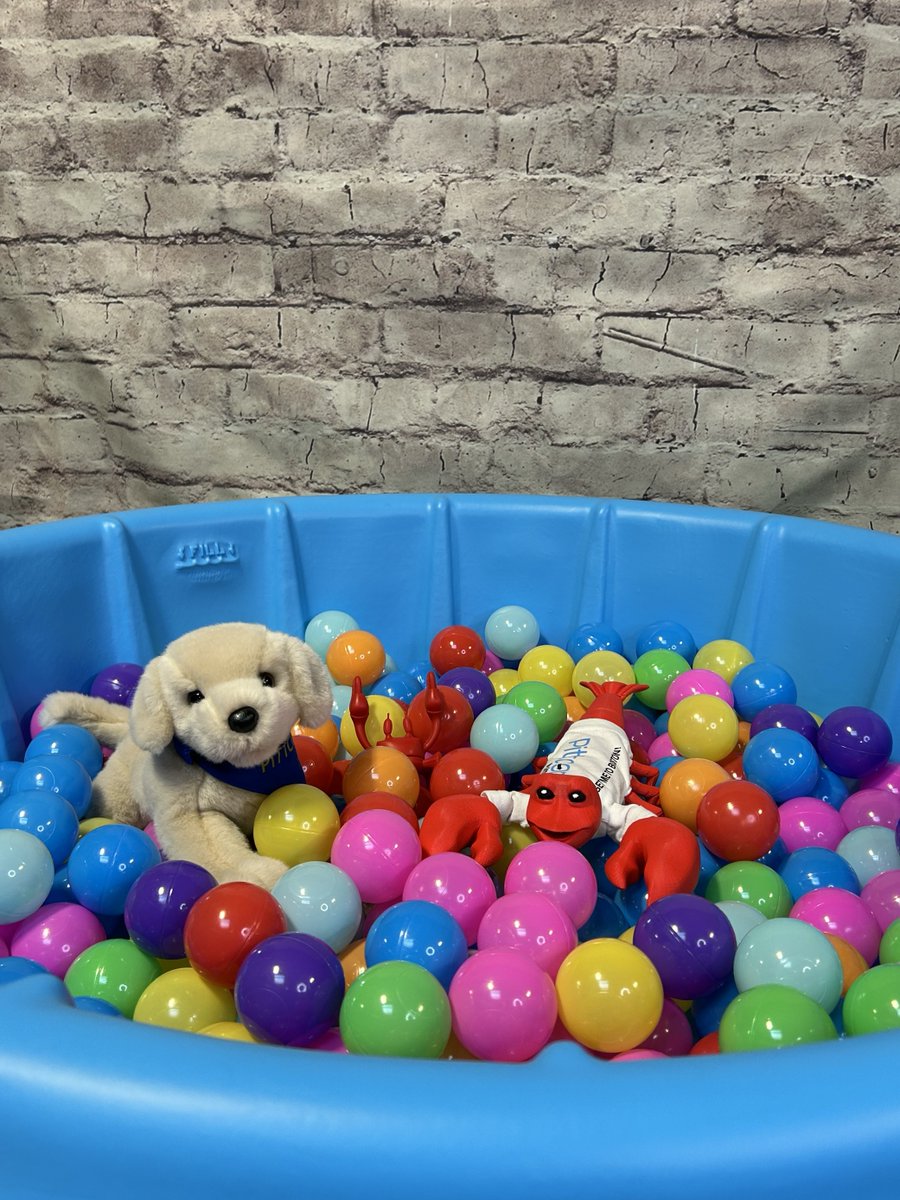Pittcon's tweet image. 🐶Baby Pools for the Pittcon Pups—so cute! 🦞 
Our furry (and clawed) friends are enjoying the ball pit! Pittcon is about fun, science, and connections. Come visit the Pittcon Pups in #Boston! 

#PittconPups #ScienceAndFun #BallPitBreak #Pittcon #pittconmascot