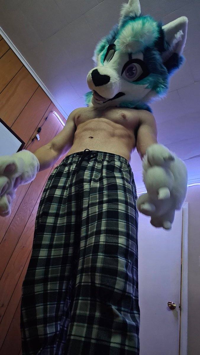 Let me pick you up? 💪🩵

#furry #fursuit #softsuit #murrsuit #buff #gymfur