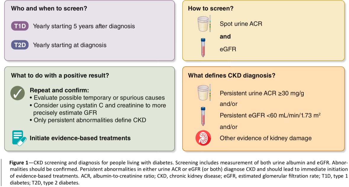 AmbrizMau's tweet photo. Manejo de la Diabetes en la Enfermedad Renal Crónica: informe de consenso de la ADA y la KDIGO.

Diabetes Care 2022;45:3075-3090. https://t.co/vSOc4CH8Du