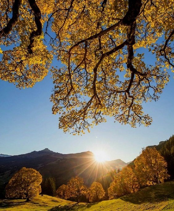 ☀︎☕︎︎..♡
              ᴴᵉˡˡᵒ 
   ᴹʸ ˡᵒᵛᵉˡʸ ˣ ᶠʳᶦᵉⁿᵈ 🤗😇

May your days always be filled with blessings, Health, Safety, and Unlimited Happiness.
And filled with the Love of Laughter, And the Light of Joy 💫💛