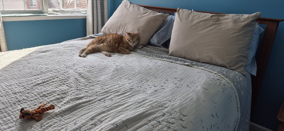 The guest bedroom is really my room!