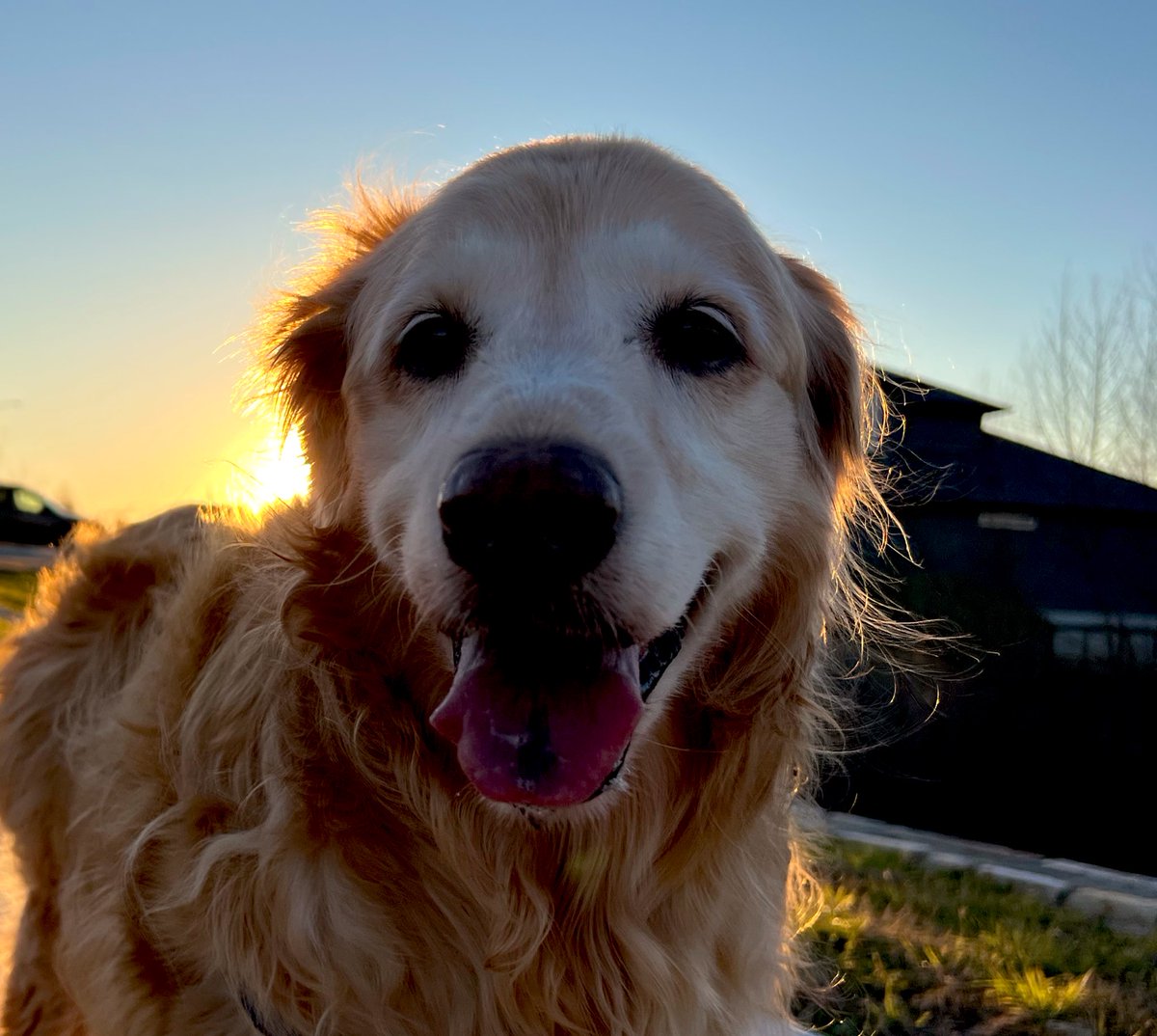 namipatelX's tweet photo. 🔆
What do you weave into your morning routine to spark joy? ✨ https://t.co/P6D3WBrqmH