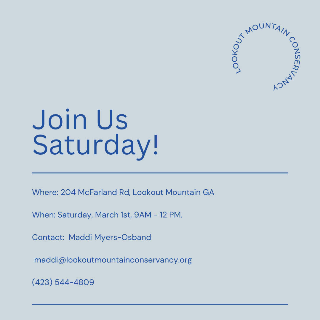 LMCChattanooga's tweet photo. We're excited for you to join us for our Weed Wrangle® on Saturday, March 1st, from 9:00 AM to 12:00 PM, at the historic Sims property, located at 204 McFarland Road, Lookout Mountain GA!

Sign up through the link in our bio! https://t.co/UxSYSn21aQ