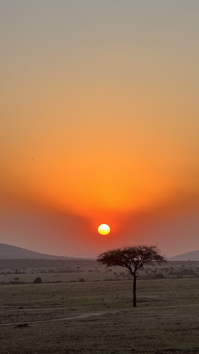 Kenya might be top 3 experiences for me, genuinely felt like I’ve been living my childhood dream throughout this whole week. Cannot even try to put into words how it’s felt to be surrounded by God’s beautiful creations, all I can say is Alhamdulillah