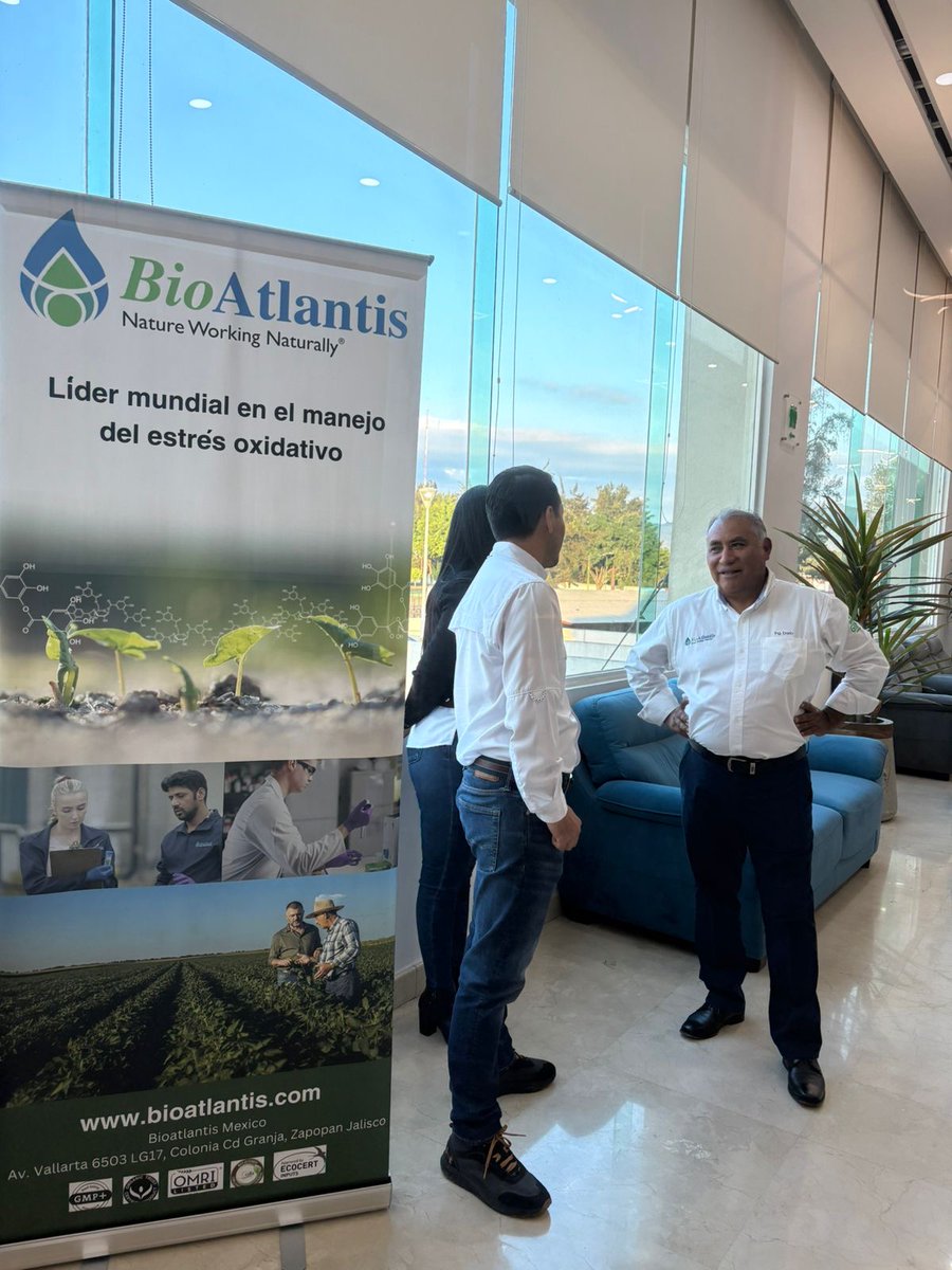 bioatlantis's tweet image. BioAtlantis recently launched successfully in Michoacán, strengthening its commitment to combating oxidative stress in the region. Expanding our regional distribution network to provide effective solutions.
#InnovacionAgricola #ProduccionAguacatera #Michoacan #Bioestimulacion